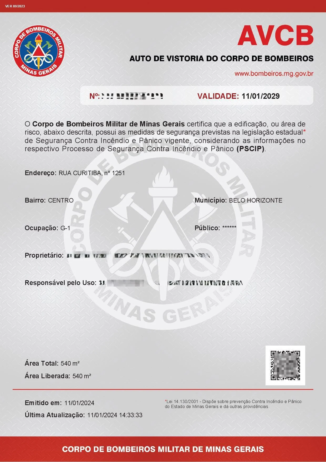 Documento AVCB